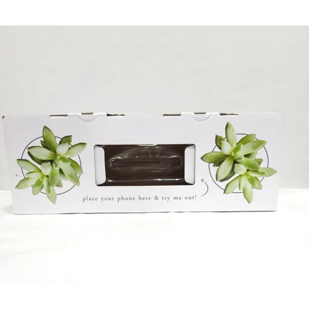 Glass Planter Amp Decor‎ 2 Plants Vase & 1 Phone Holder Syndicate Home & Garden